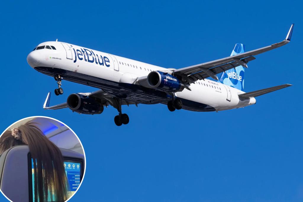 Passenger lashes out at this fake 'inconsiderate' plane: 'Doesn't she know?'